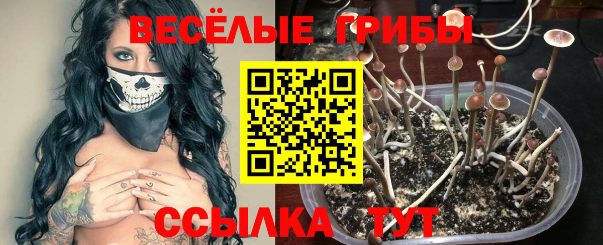 Галлюциногенные грибы Cubensis Орск