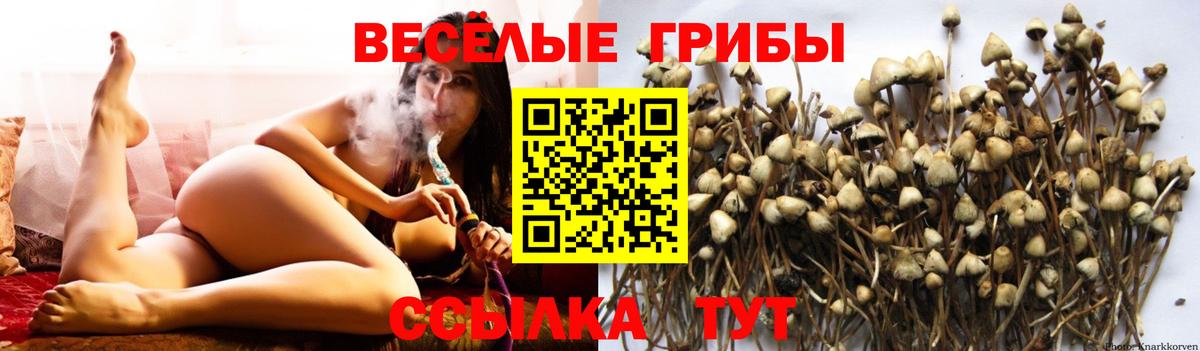 Галлюциногенные грибы Psilocybine cubensis  Вход с VPN  купить  сайты  Орск 